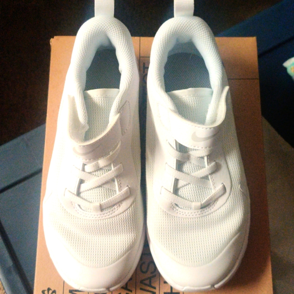 Nike Omni multi court